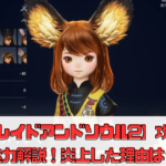 【ブレイドアンドソウル2】攻略や魅力解説！炎上した理由は？